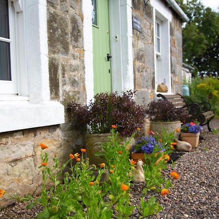 Balmungo Cottage B&B St Andrews Luaran gambar