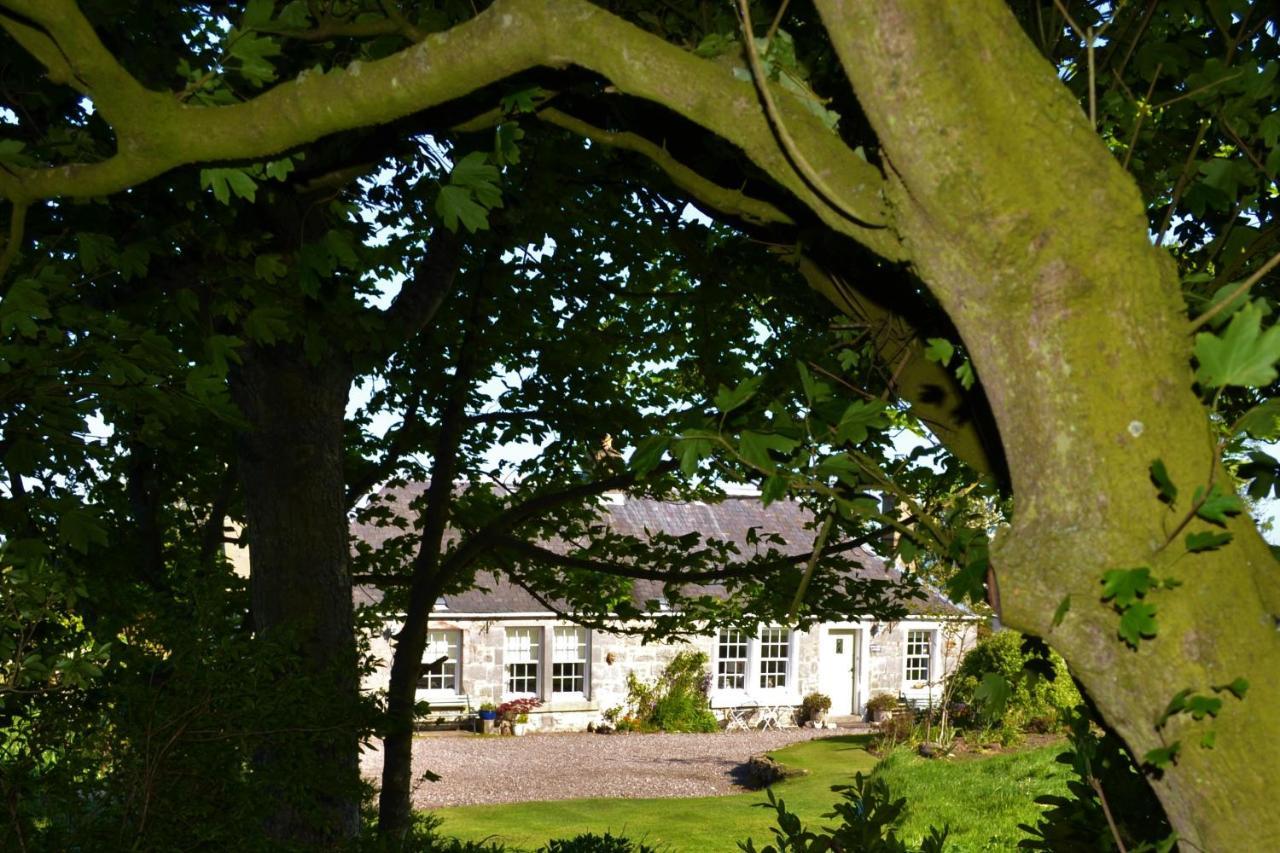 Balmungo Cottage B&B St Andrews Luaran gambar