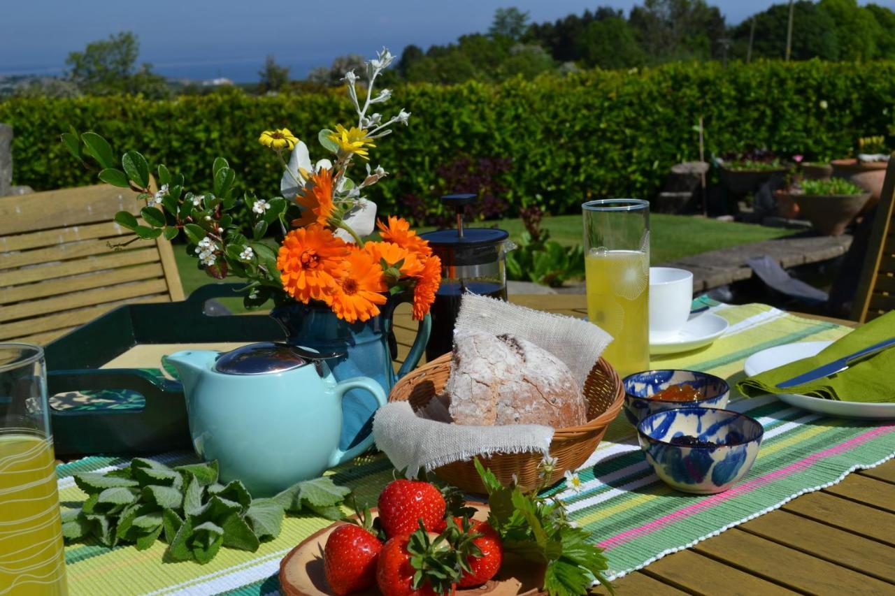 Balmungo Cottage B&B St Andrews Luaran gambar