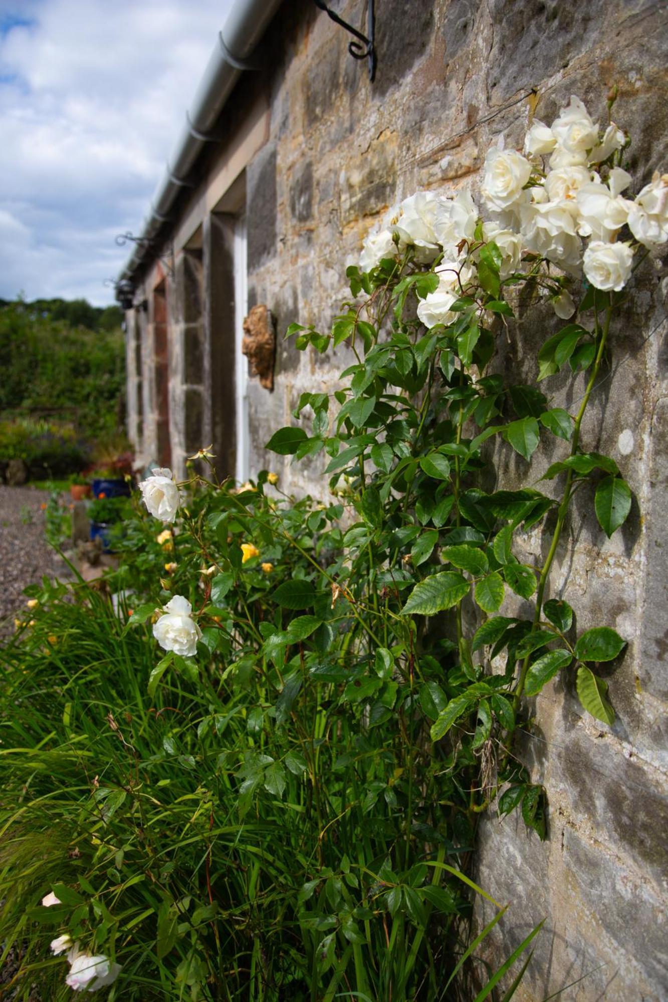 Balmungo Cottage B&B St Andrews Luaran gambar
