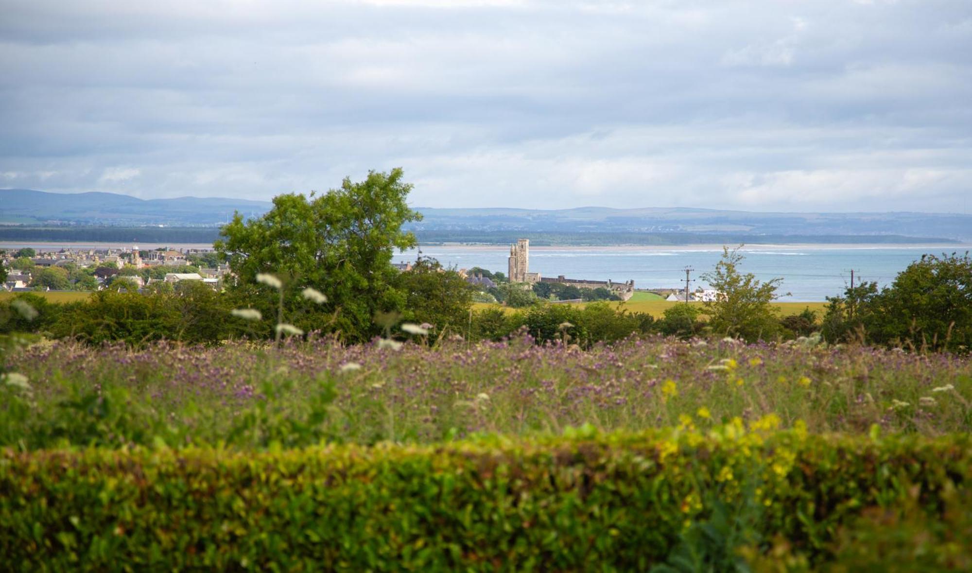 Balmungo Cottage B&B St Andrews Luaran gambar