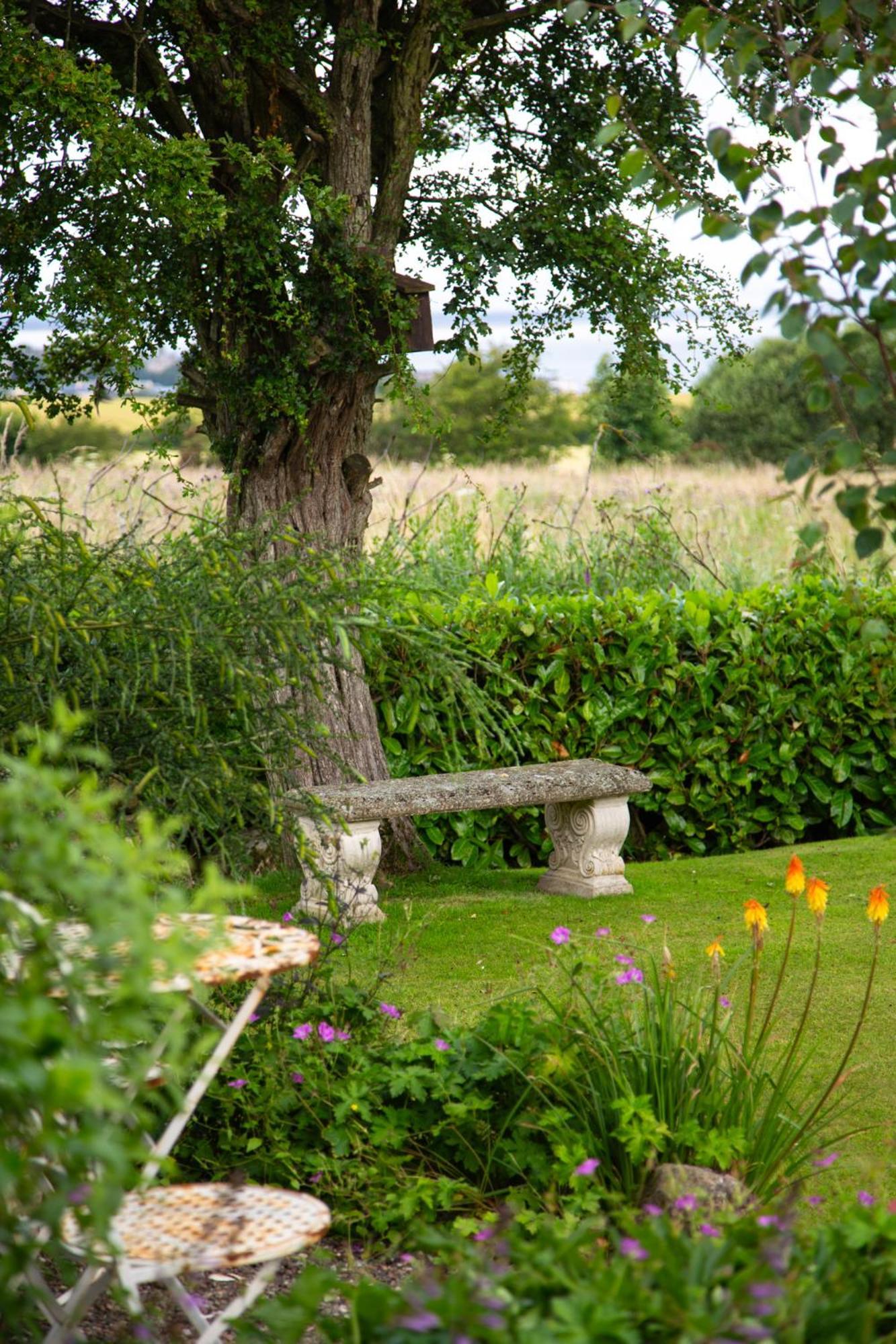 Balmungo Cottage B&B St Andrews Luaran gambar