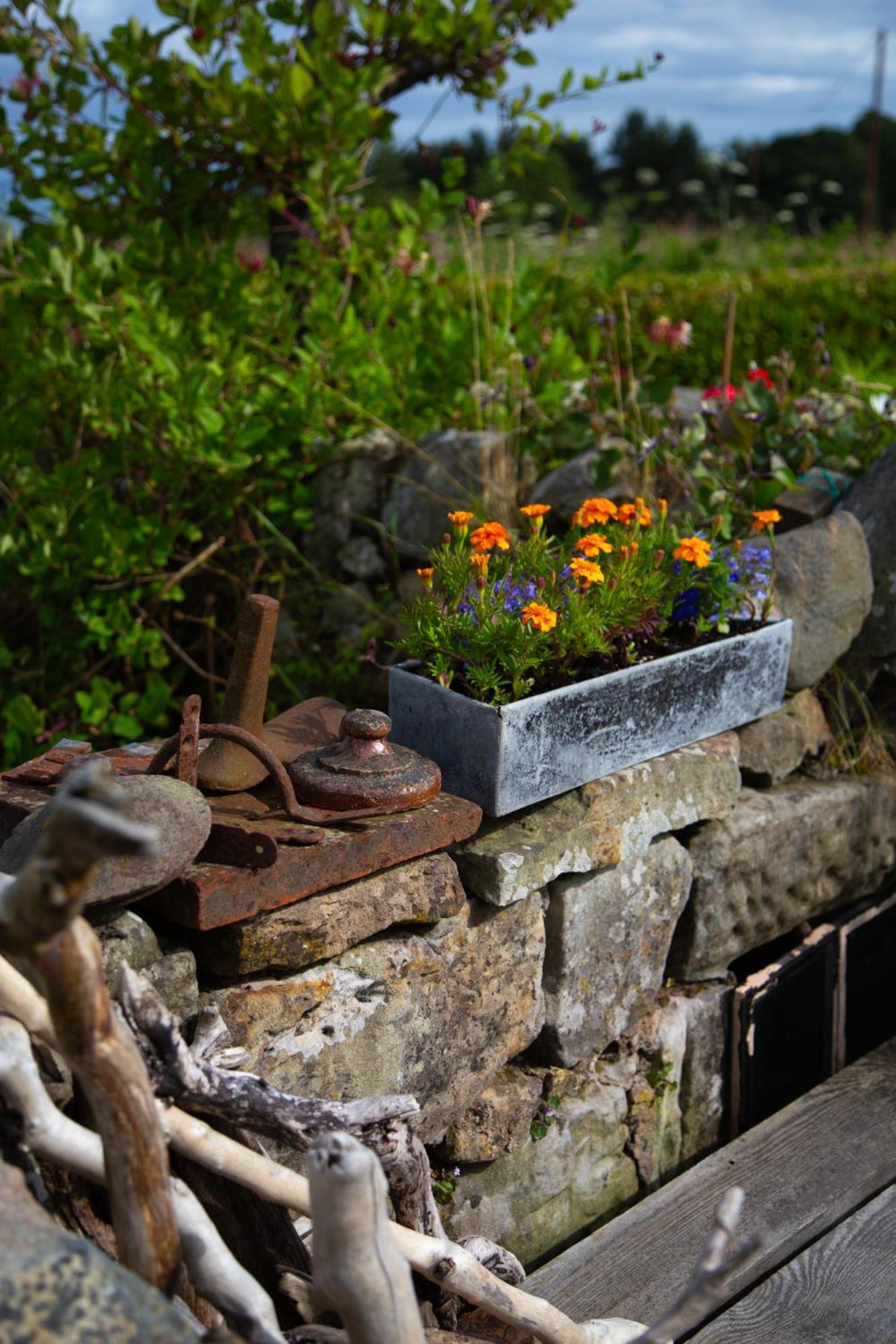 Balmungo Cottage B&B St Andrews Luaran gambar