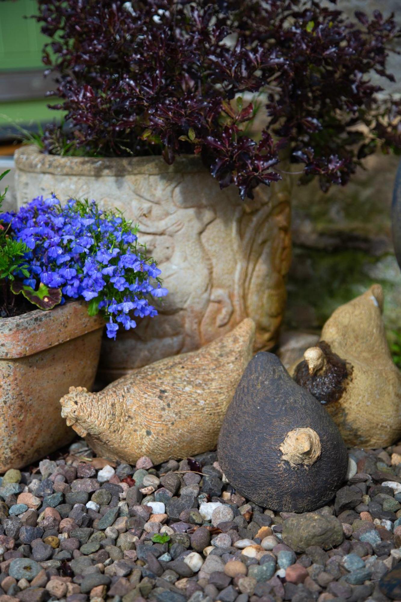 Balmungo Cottage B&B St Andrews Luaran gambar