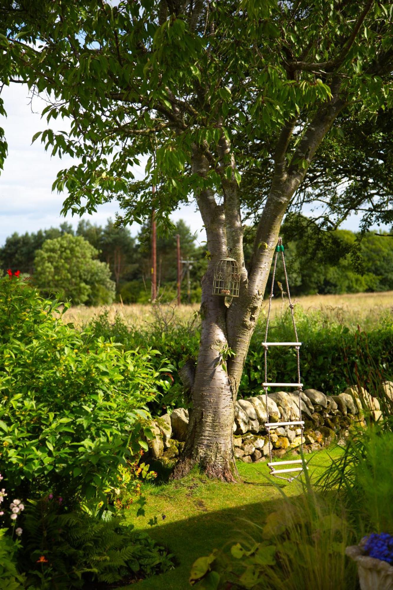 Balmungo Cottage B&B St Andrews Luaran gambar