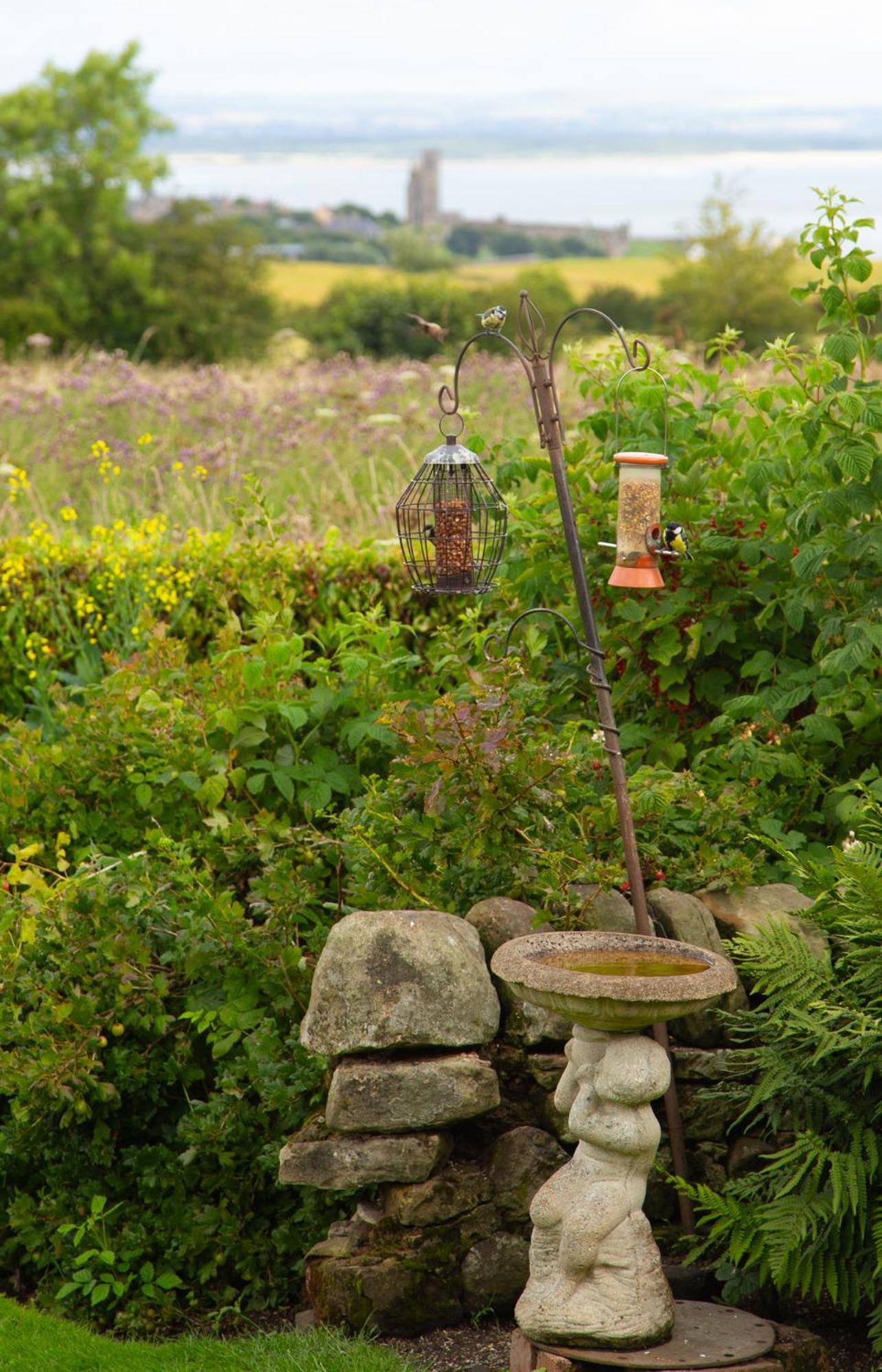 Balmungo Cottage B&B St Andrews Luaran gambar